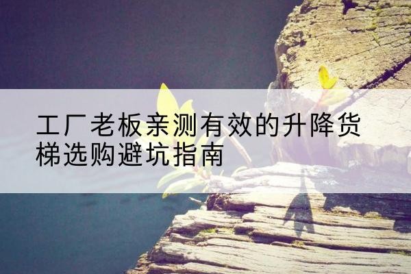 青川升降货梯怎么选-工厂老板亲测有效的升降货梯选购避坑指南