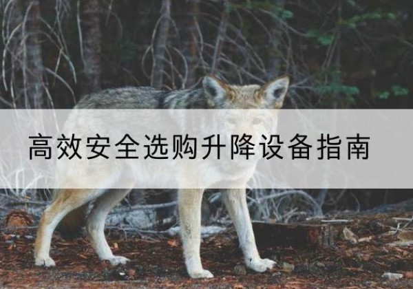 青川升降货梯厂家推荐-*安全选购升降设备指南
