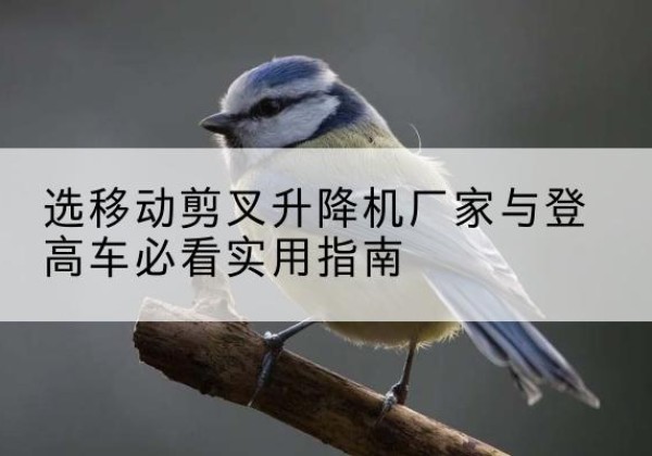 青川电动升降机厂家-选移动剪叉升降机厂家与登高车必看实用指南