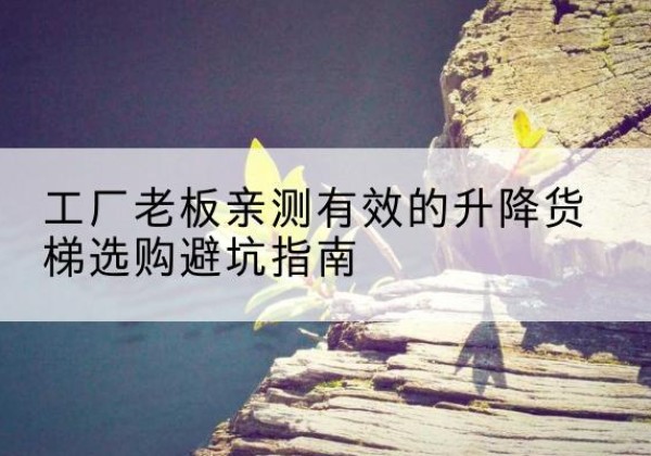 青川升降货梯怎么选-工厂老板亲测有效的升降货梯选购避坑指南